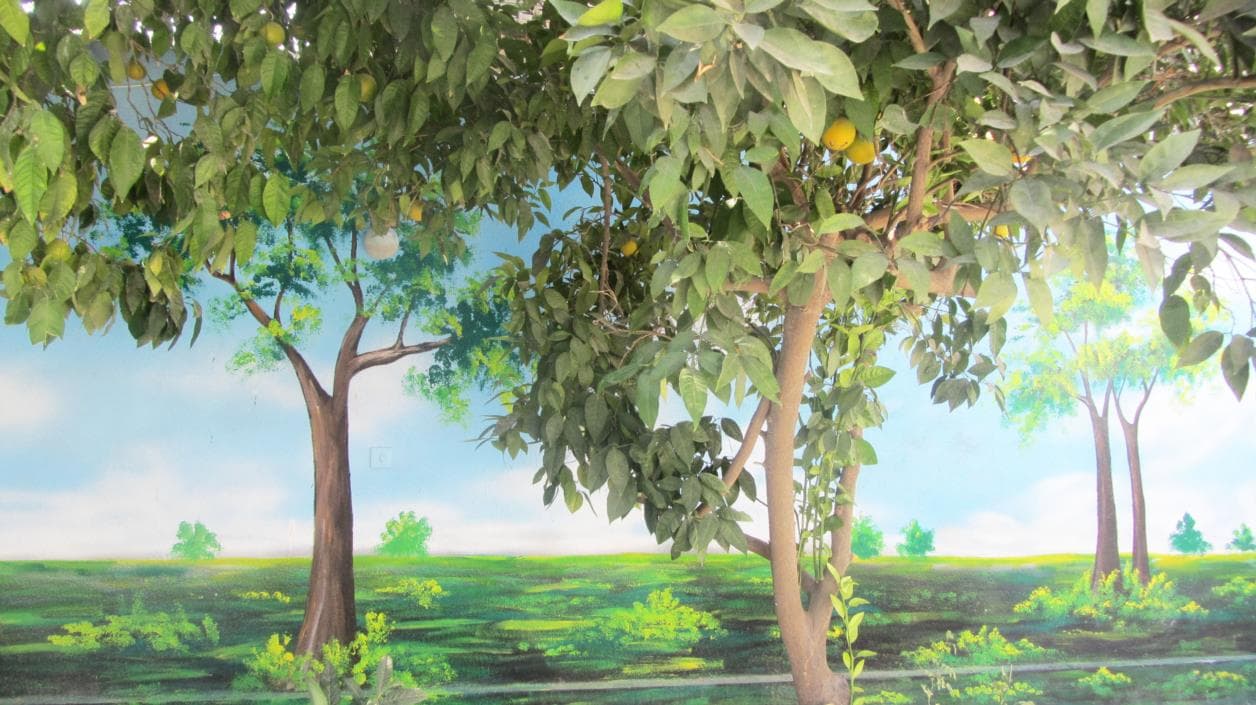 درخت و فضای سبز در کنار دیوارنگاره